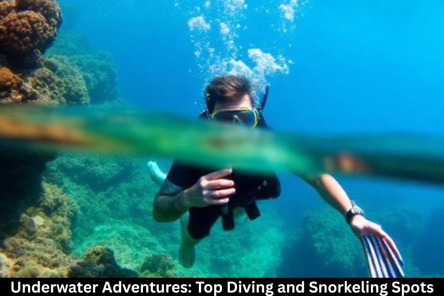 Underwater Adventures: Top Diving and Snorkeling Spots